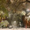 Photos: At Least NYC's Unexpected First Snow Of The Season Was Beautiful